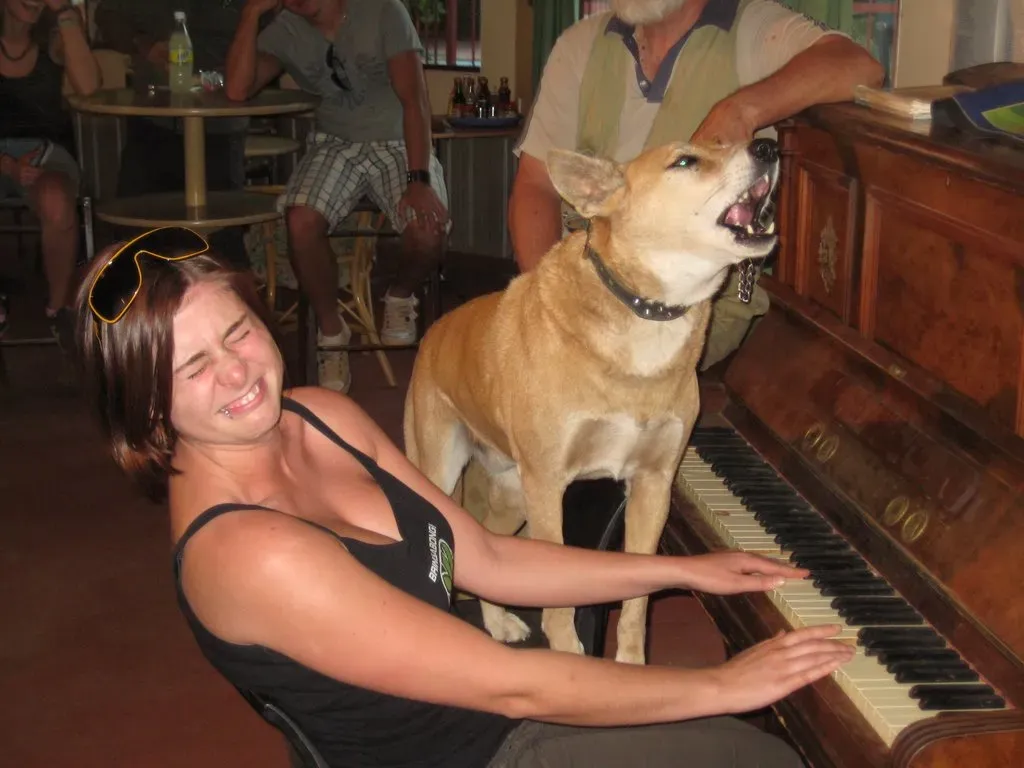 2. Their Howl Is More Musical Than a Dog’s Bark (Paleontour, Flickr, CC BY 2.0)