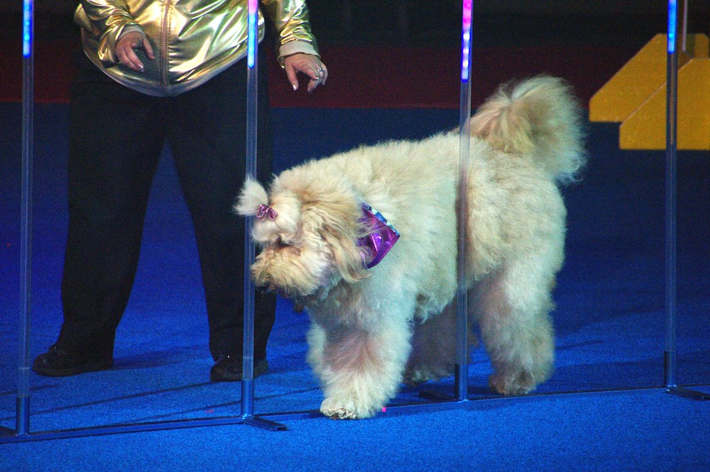 Starting Slowly with Low-Impact Activities (Image Credits: Flickr)