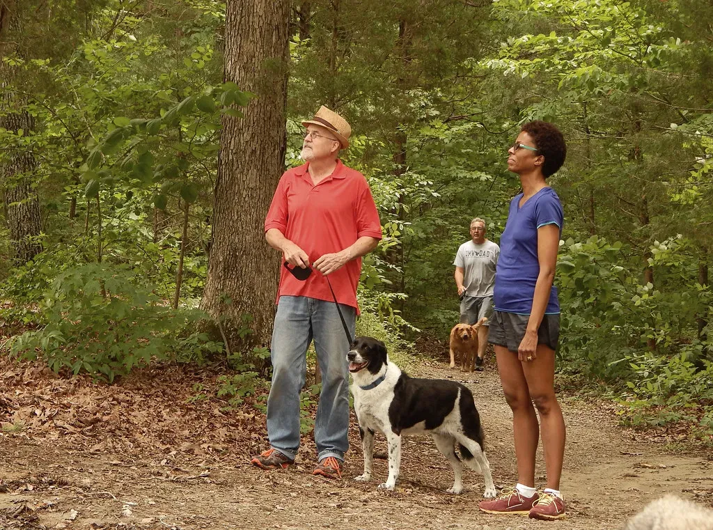 Explore New Routes and Textures (vastateparksstaff, Flickr, CC BY 2.0)