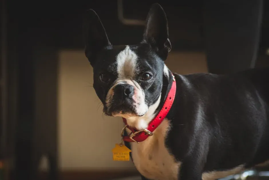 Conclusion: A Little Preparation Goes a Long Way (Image Credits: Pexels)