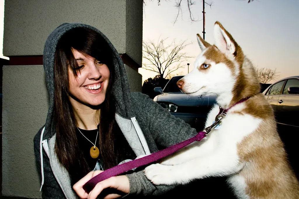 Drawn to Dogs That Mirror Their Fire (Image Credits: Flickr)