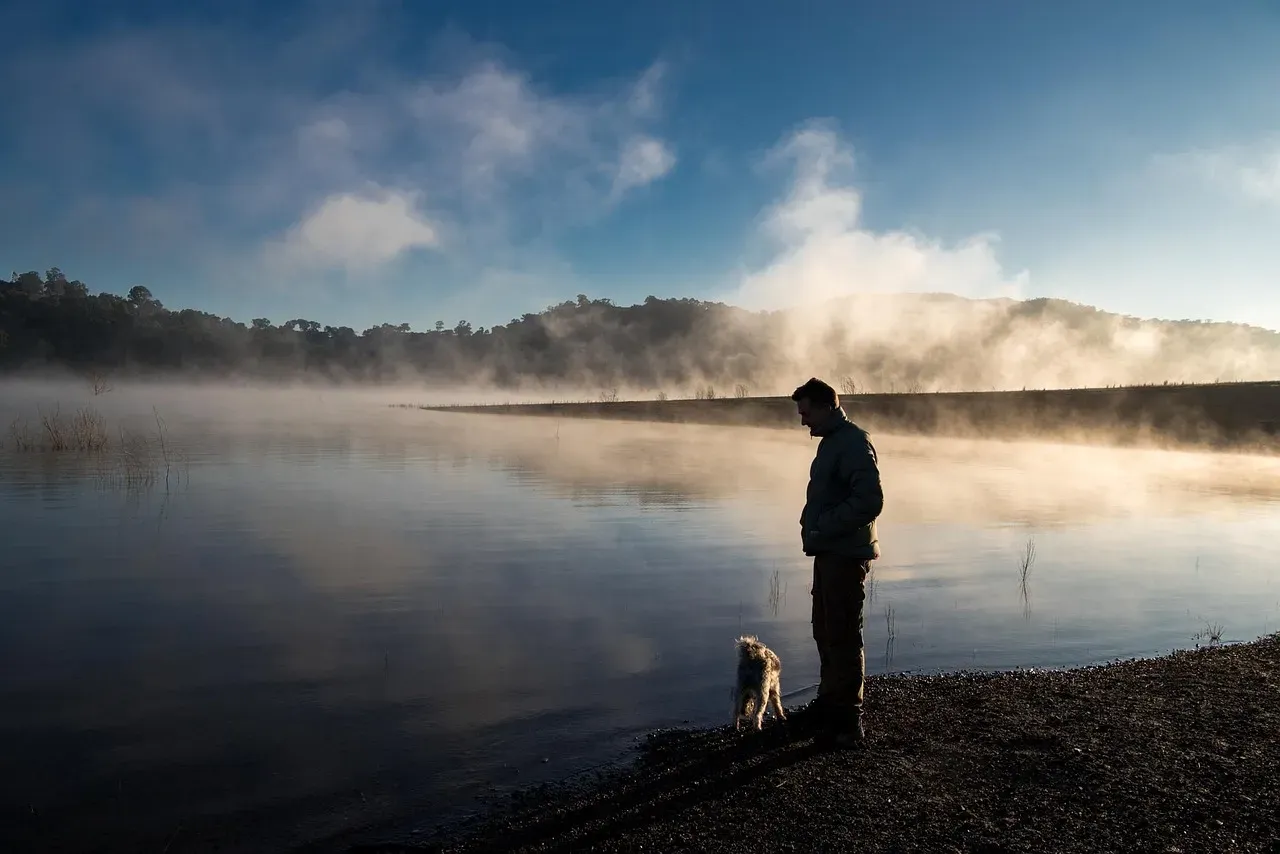 Mirror, Mirror: Dogs Reflect Their Owners (Image Credits: Pixabay)