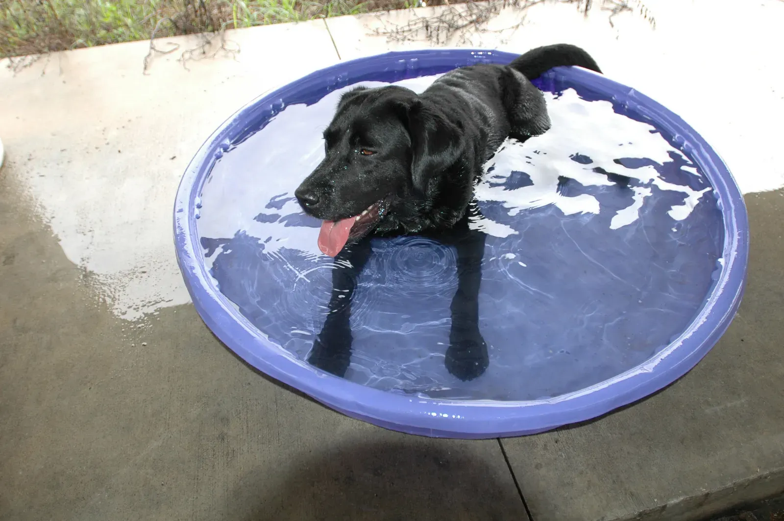 Conclusion – Texas Heat Demands Honest Choices, Not Just Cute Preferences (This image is from the FEMA Photo Library (obsolete as of 2019).An archived copy may be found at the Wayback Machine (note: link may be permanently dead, as not all photos were backed up in this way).If the FEMA link is permanently dead, the photo can be found at NARA Access to Archival Databases (only works if photo was taken between 1989 and October 2004), or at City-data.com., Public domain)