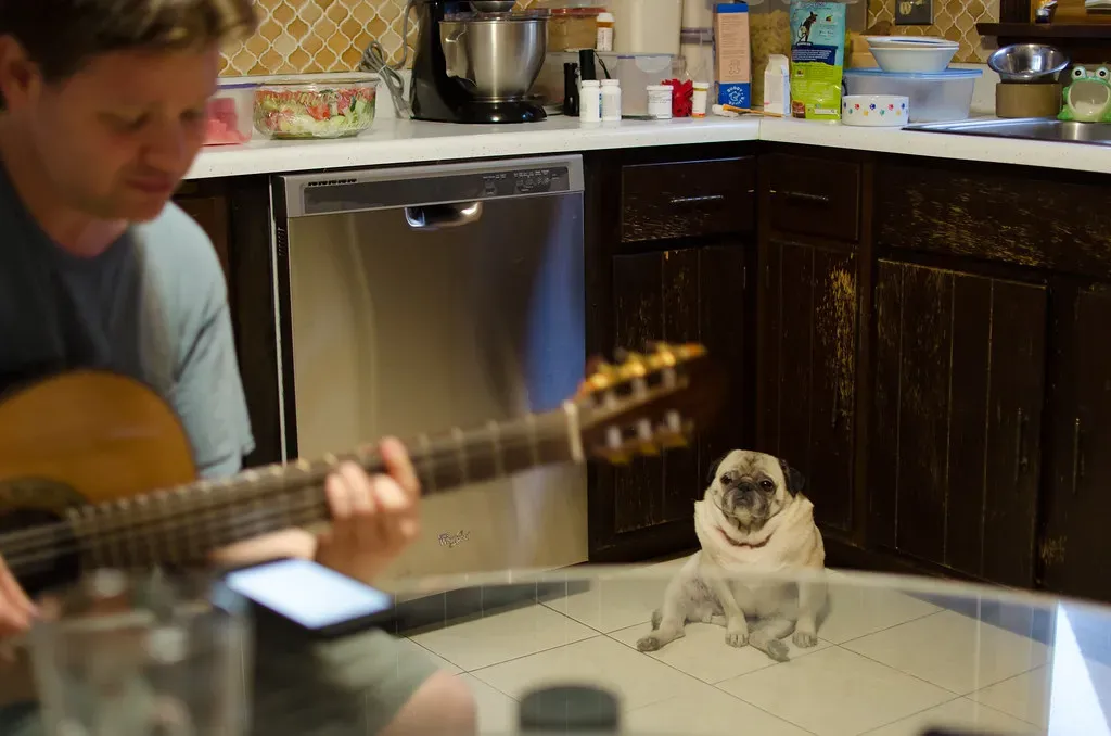 Your Inability to Stick to a Schedule (Image Credits: Flickr)