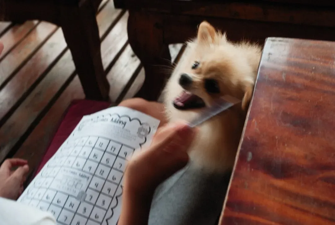 Neglecting to Prepare Your Home (Image Credits: Unsplash)