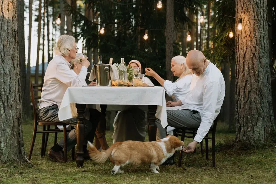 5. The Benefits of Established Temperaments (Image Credits: Pexels)