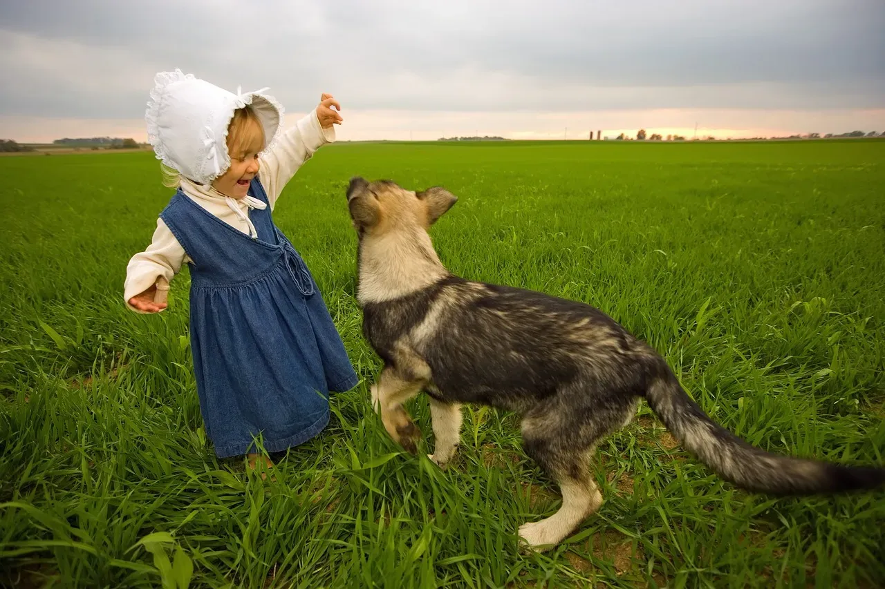 Conclusion: Your Joy Is Part of Their World (Image Credits: Pixabay)