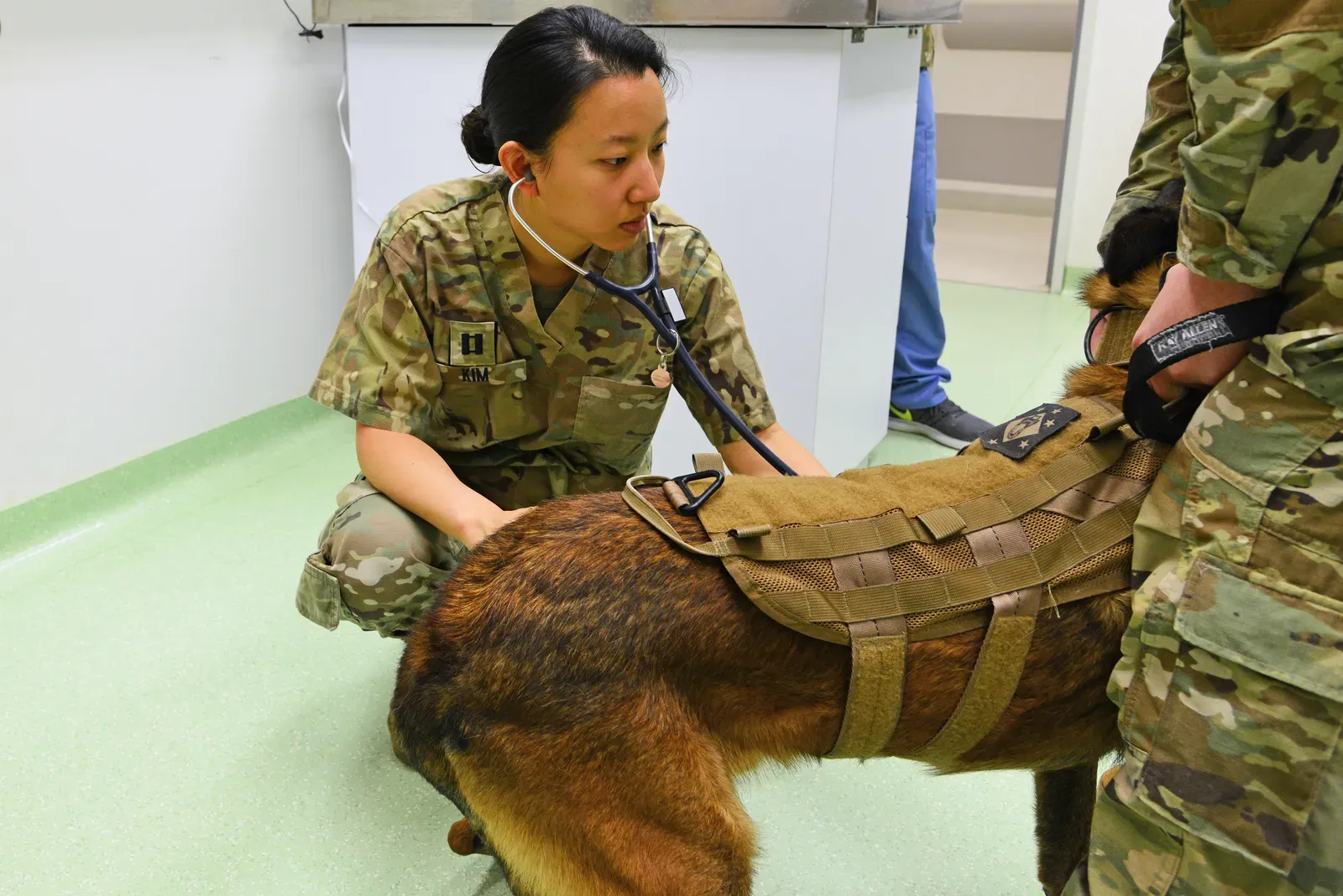 9. Plan Ahead for Vet Bills With a Budget or Pet Insurance (This image was released by the United States Army with the ID 200602-A-ZQ575-0132 (next).
This tag does not indicate the copyright status of the attached work. A normal copyright tag is still required. See Commons:Licensing.العربية ∙ বাংলা ∙
Bahasa Indonesia ∙
Bahaso Jambi ∙
Deutsch ∙ Deutsch (Sie-Form) ∙ English ∙ español ∙ euskara ∙ فارسی ∙ français ∙ italiano ∙ 日本語 ∙ 한국어 ∙ македонски ∙ മലയാളം ∙ Plattdüütsch ∙ Nederlands ∙ polski ∙ پښتو ∙ português ∙ русский ∙ slovenščina ∙ svenska ∙ Türkçe ∙ українська ∙ 简体中文 ∙ 繁體中文 ∙ +/−, Public domain)