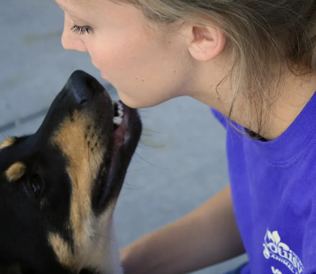 8. Beagle: The Joyful Intuitive (Image Credits: Flickr)