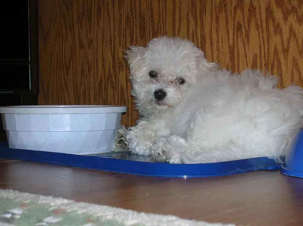 Location, Location, Location (Image Credits: Flickr)