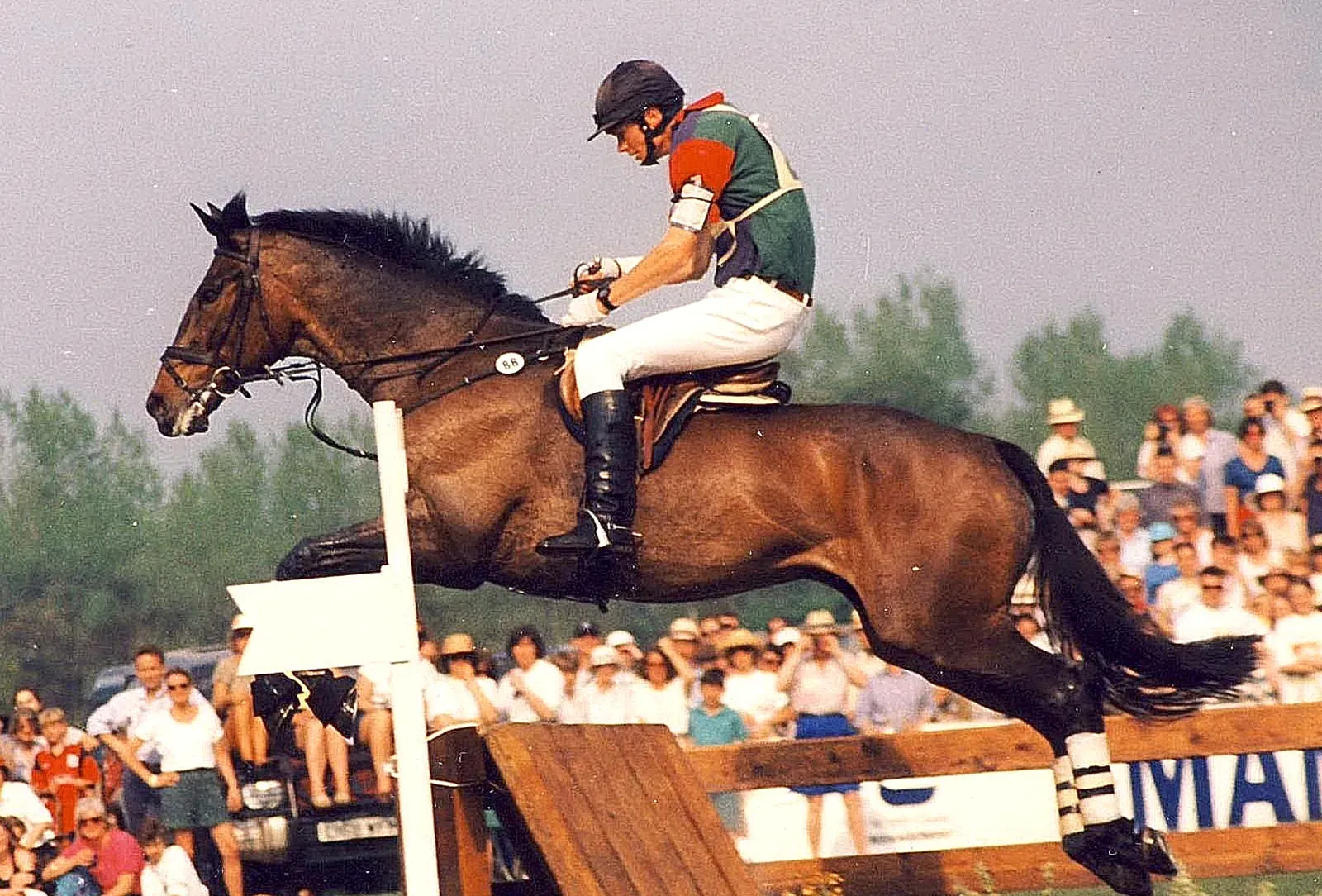 8. Irish Sport Horse: Eventing Star With International-Level Bills (Geograph Britain and Ireland, CC BY-SA 2.0)