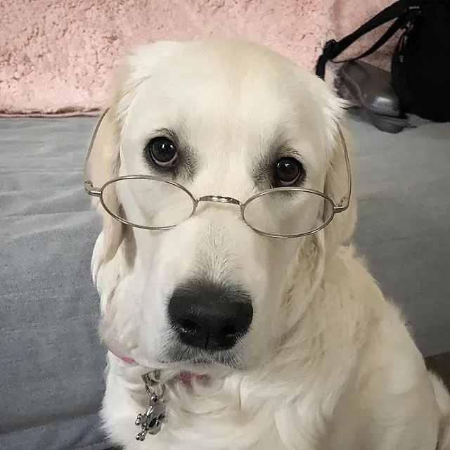 5. Muffin Tin Surprise (Image Credits: Flickr)