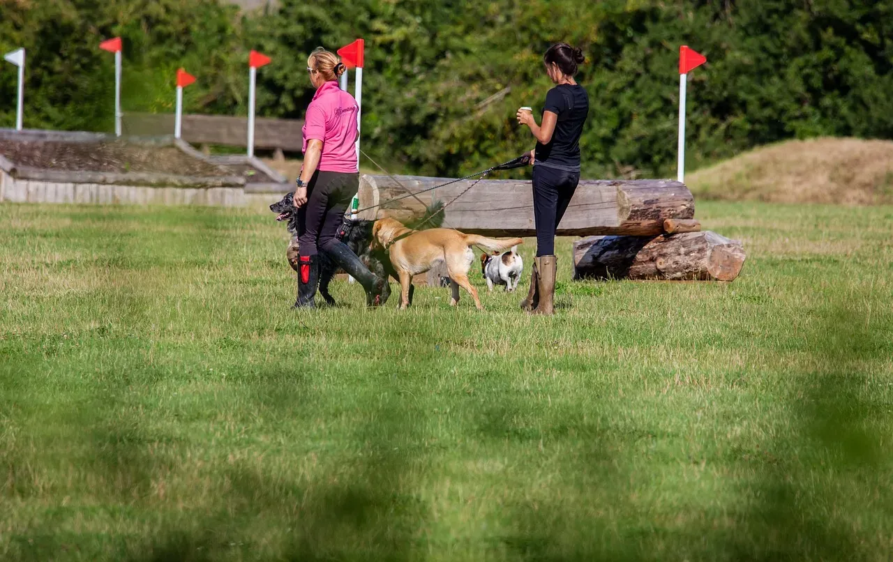 They Create a Sense of Daily Rhythm and Purpose (Image Credits: Pixabay)