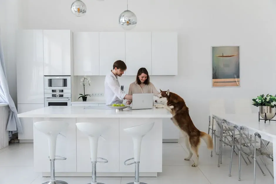 6. Counter Surfing with Zero Apology (Image Credits: Pexels)