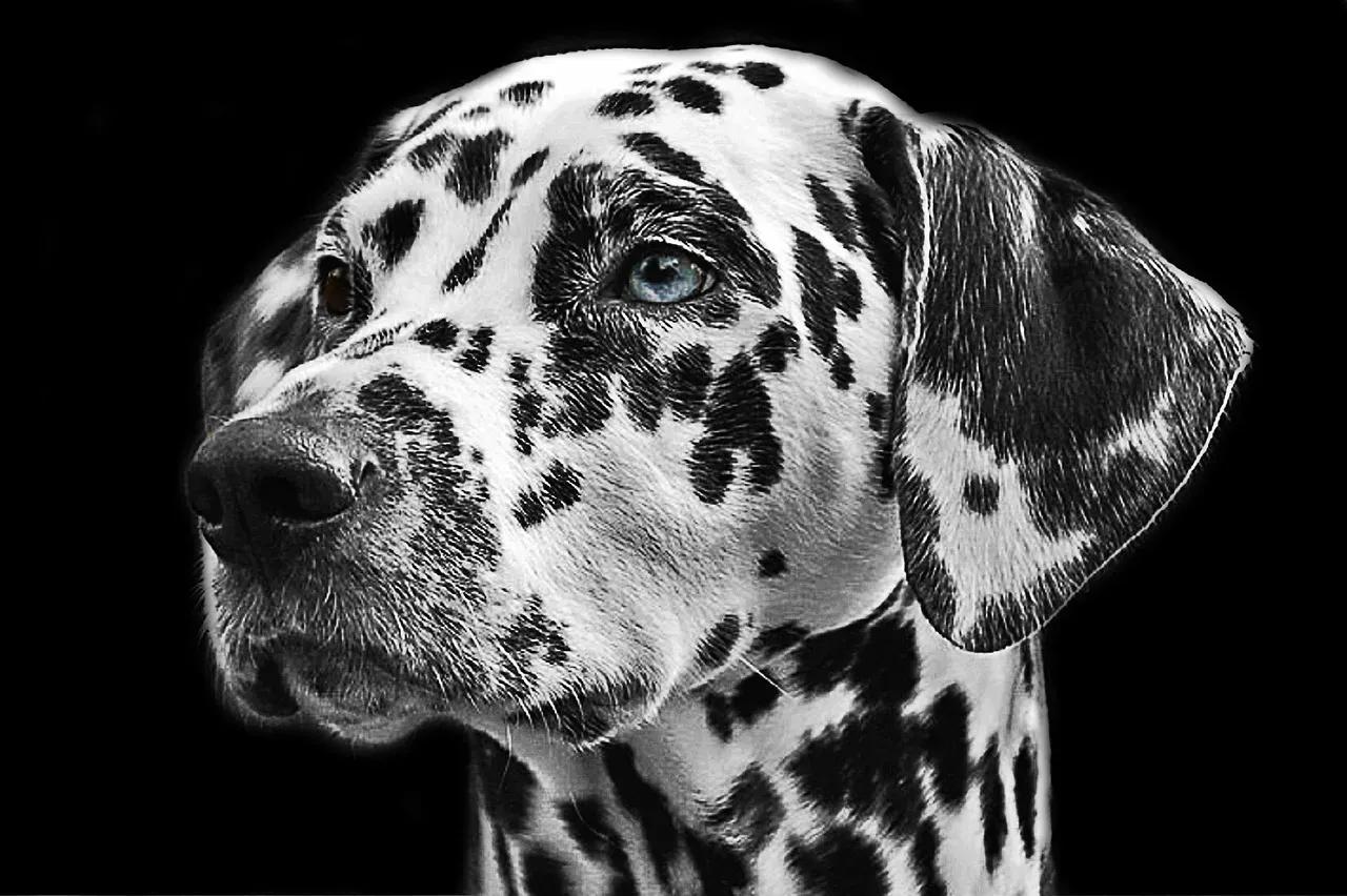 Aquarius: The Fear of Alienation (Image Credits: Pixabay)