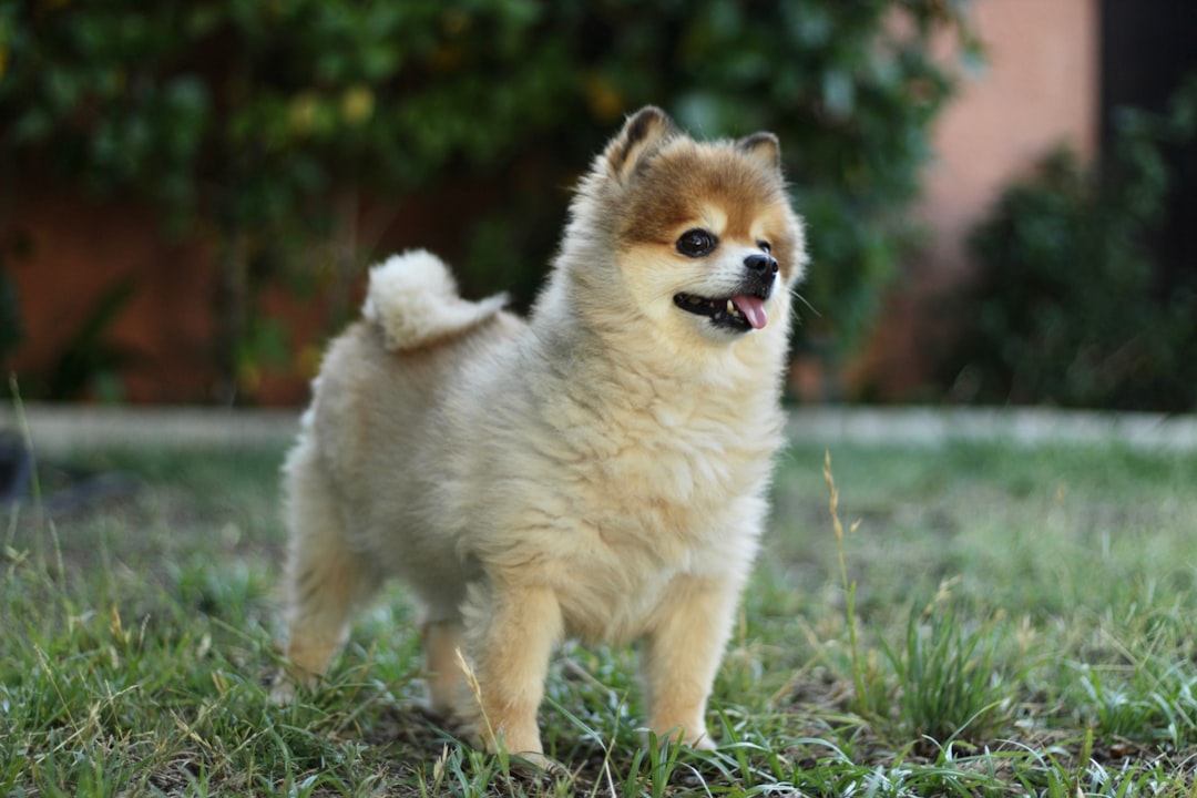 Conclusion (Image Credits: Unsplash)