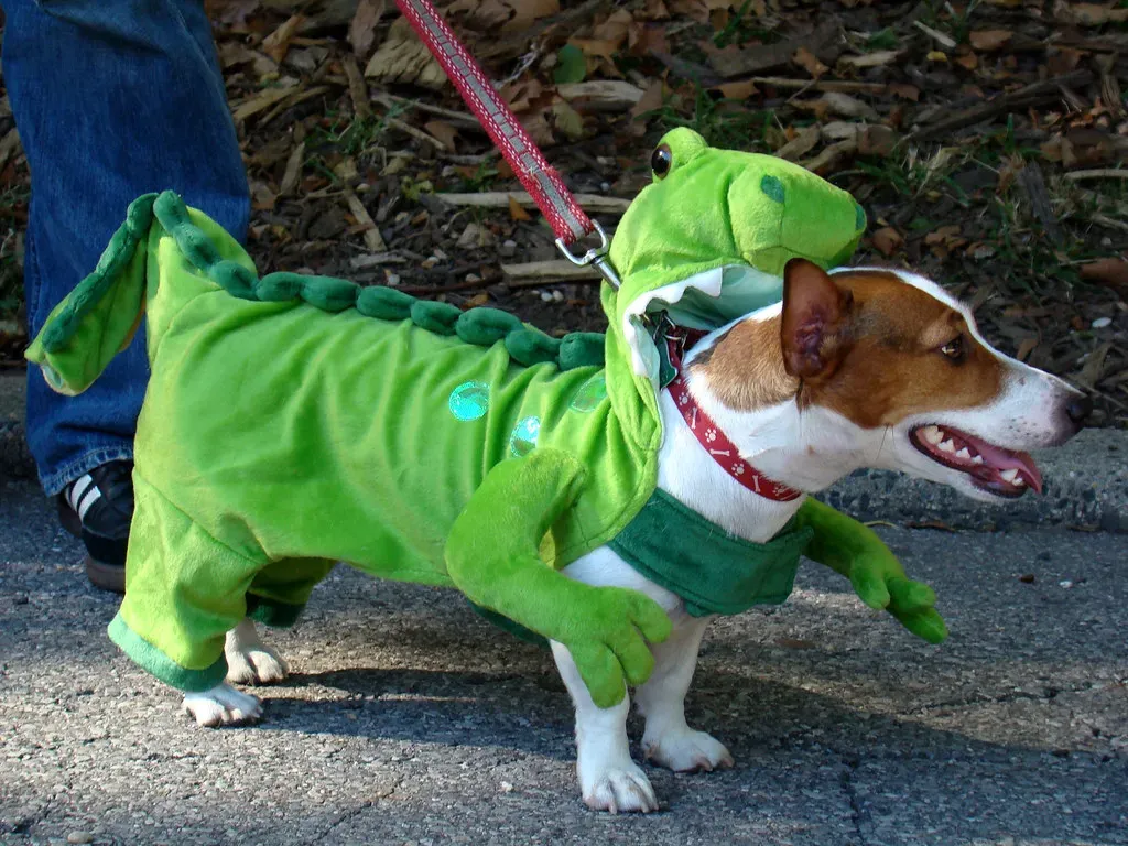 10. Jack Russell Terriers: The Energetic Yappers (Image Credits: Flickr)