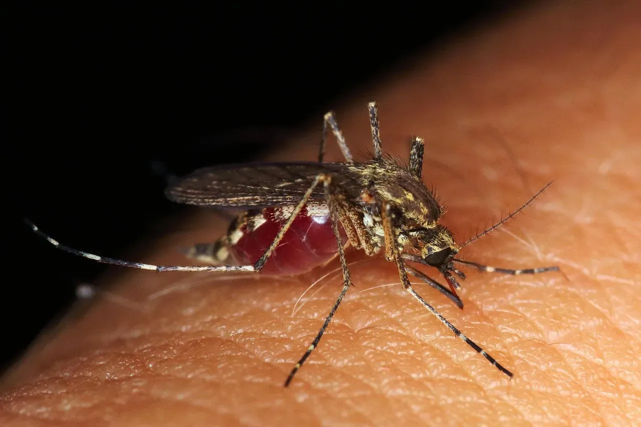 #9 Insect Bites, Stings, and Small Allergic Bumps (Image Credits: Pixabay)