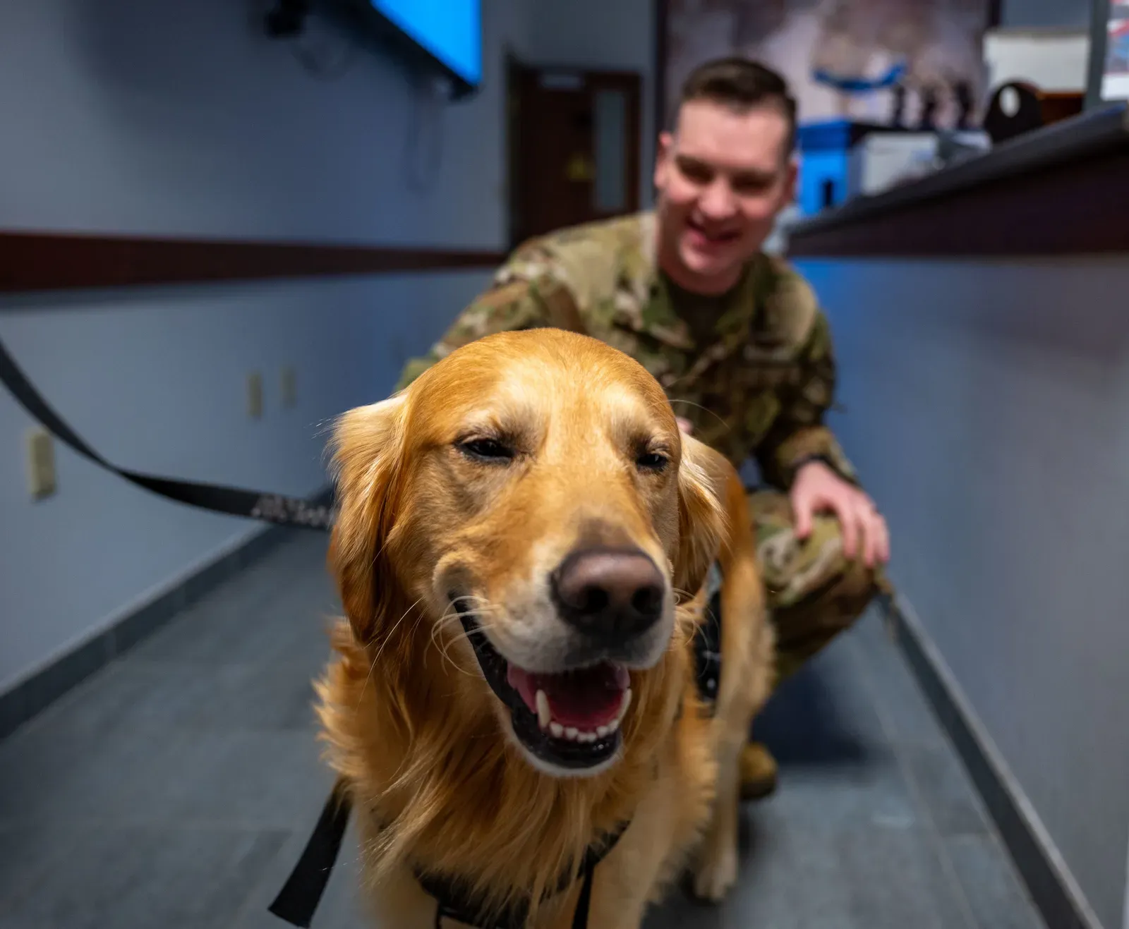Cancer: The Soulmate Dog That Knows When You’re About To Cry (This image was released by the United States Air Force with the ID 231219-F-PU288-1062 (next).
This tag does not indicate the copyright status of the attached work. A normal copyright tag is still required. See Commons:Licensing.العربية ∙ বাংলা ∙
Bahasa Indonesia ∙
Bahaso Jambi ∙
Deutsch ∙ Deutsch (Sie-Form) ∙ English ∙ español ∙ euskara ∙ فارسی ∙ français ∙ italiano ∙ 日本語 ∙ 한국어 ∙ македонски ∙ മലയാളം ∙ Plattdüütsch ∙ Nederlands ∙ polski ∙ پښتو ∙ português ∙ русский ∙ slovenščina ∙ svenska ∙ Türkçe ∙ українська ∙ 简体中文 ∙ 繁體中文 ∙ +/−, Public domain)