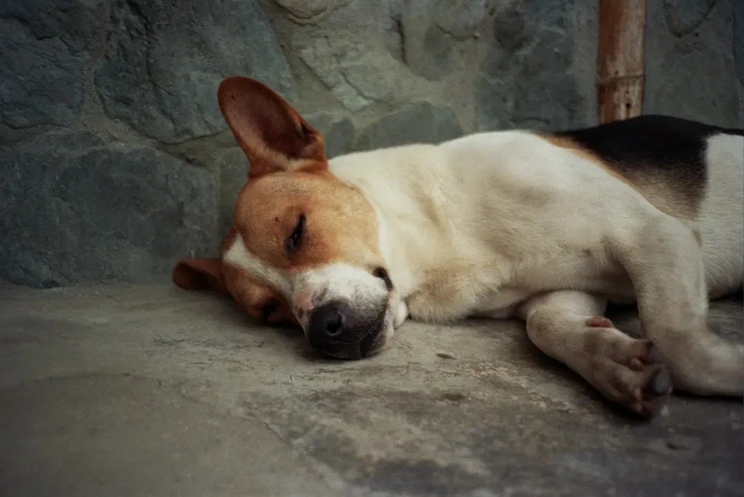 The Deep, Satisfied Sigh (Image Credits: Unsplash)