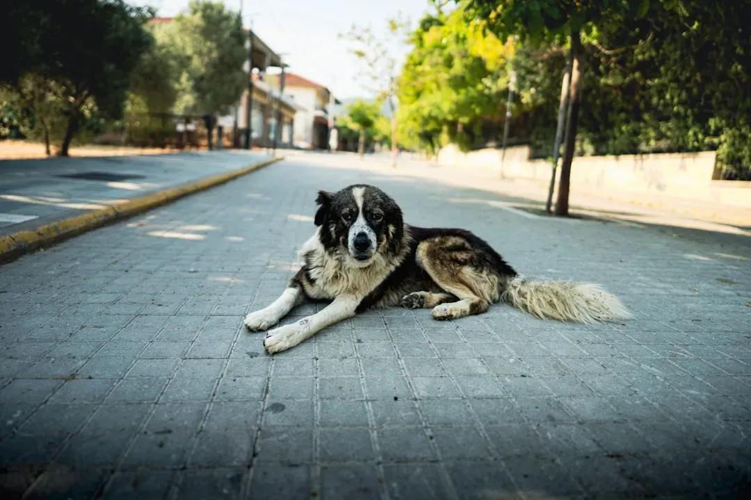 10. Body Blocking Strangers or New People (Image Credits: Unsplash)