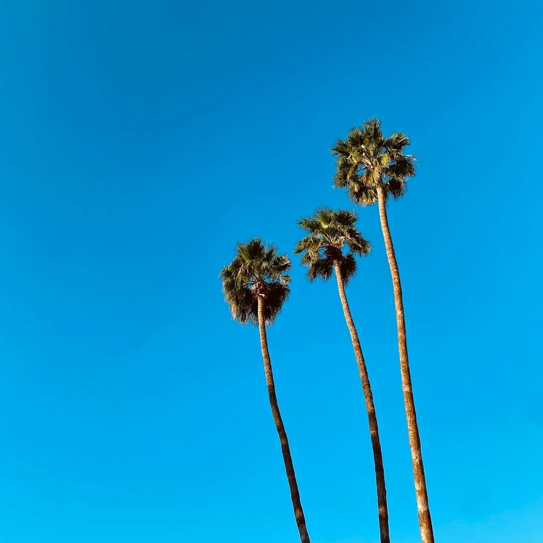 California: Surprising West Coast Threat (Image Credits: Unsplash)
