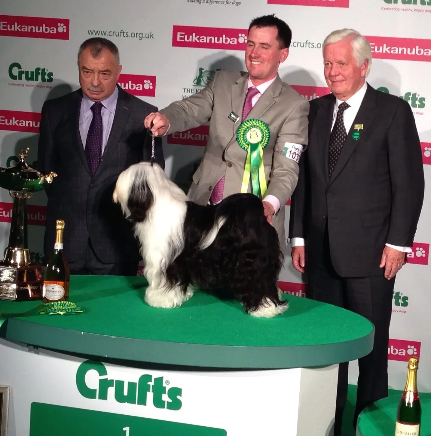 Why the Tibetan Terrier Endures (By Sagaciousphil, CC BY-SA 3.0)