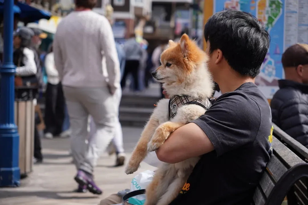 Leaning As A Leftover Habit From Puppy Days (Image Credits: Unsplash)