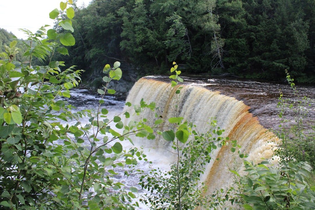 Tahquamenon Falls, Michigan (Image Credits: Unsplash)