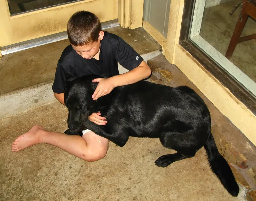 It's Not Just the Noise: The Invisible Storm Triggers (Image Credits: Flickr)