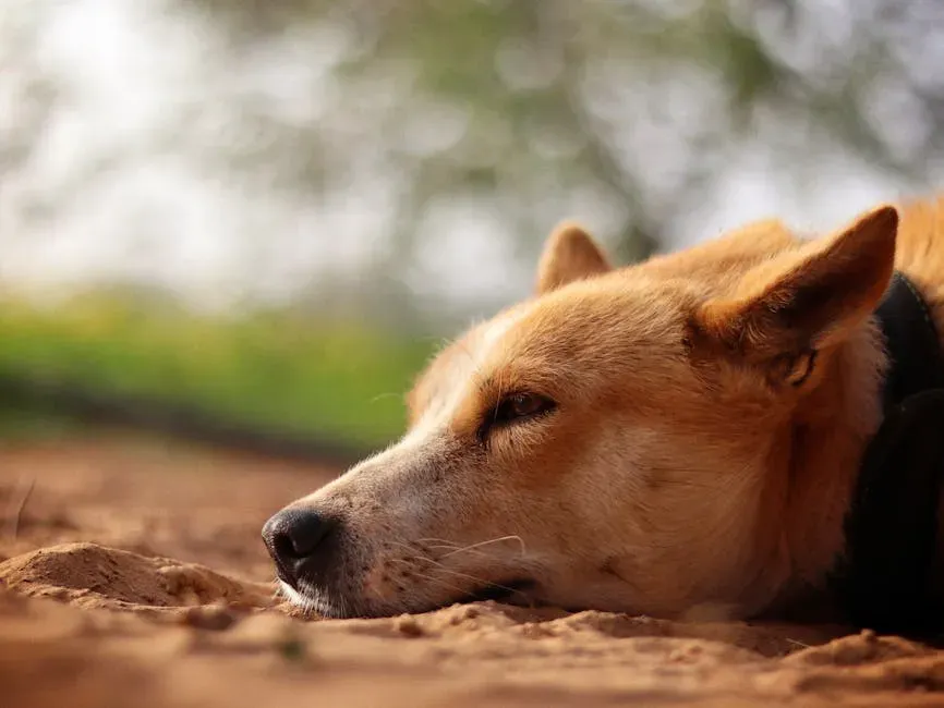 #9. They Grow Still and Deeply Peaceful (Image Credits: Pexels)