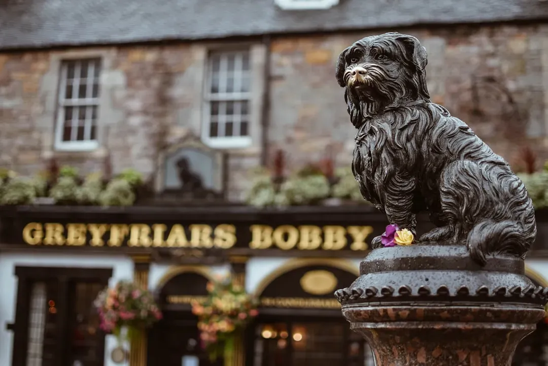 #3: The Skye Terrier - Small Dog, Immovable Heart (Image Credits: Unsplash)