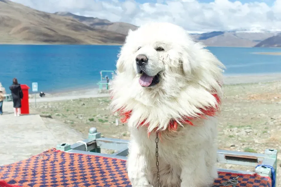 8. Tibetan Mastiff: Ancient Power With a Modern Purpose (Image Credits: Pexels)
