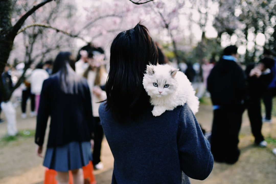 The Science Behind Feline Memory and Emotional Bonds (Image Credits: Unsplash)