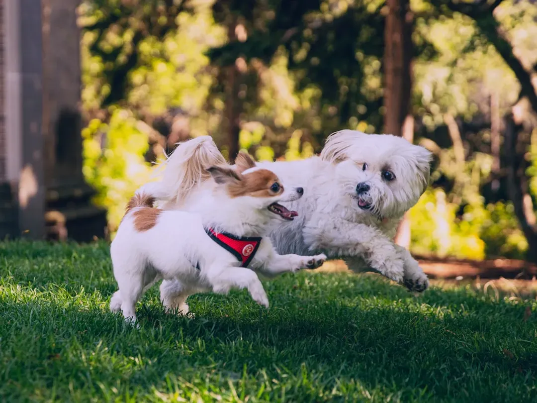 4. The Day Another Animal Moved In (Image Credits: Unsplash)