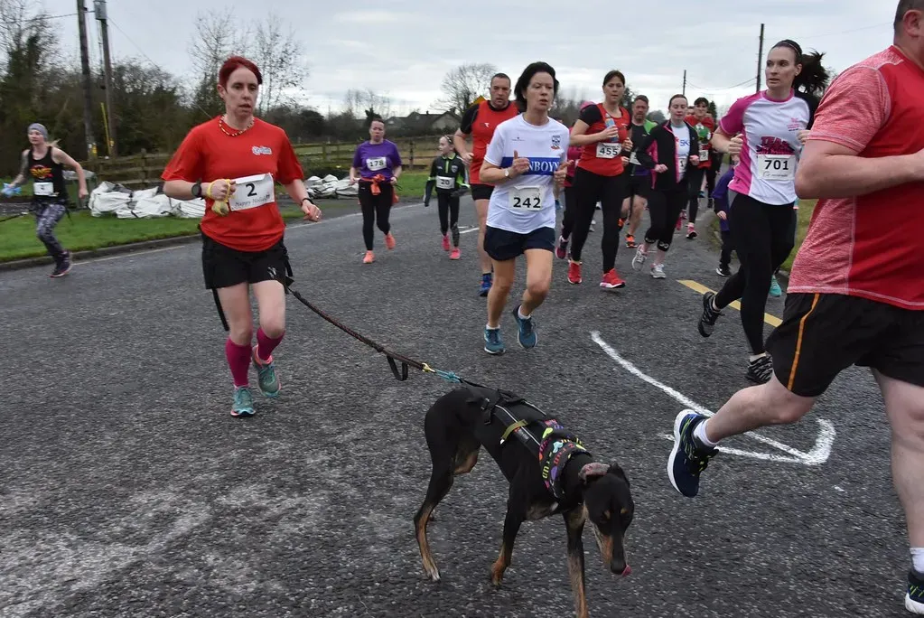 Turning Their Back to You in Vulnerable Moments (Image Credits: Flickr)