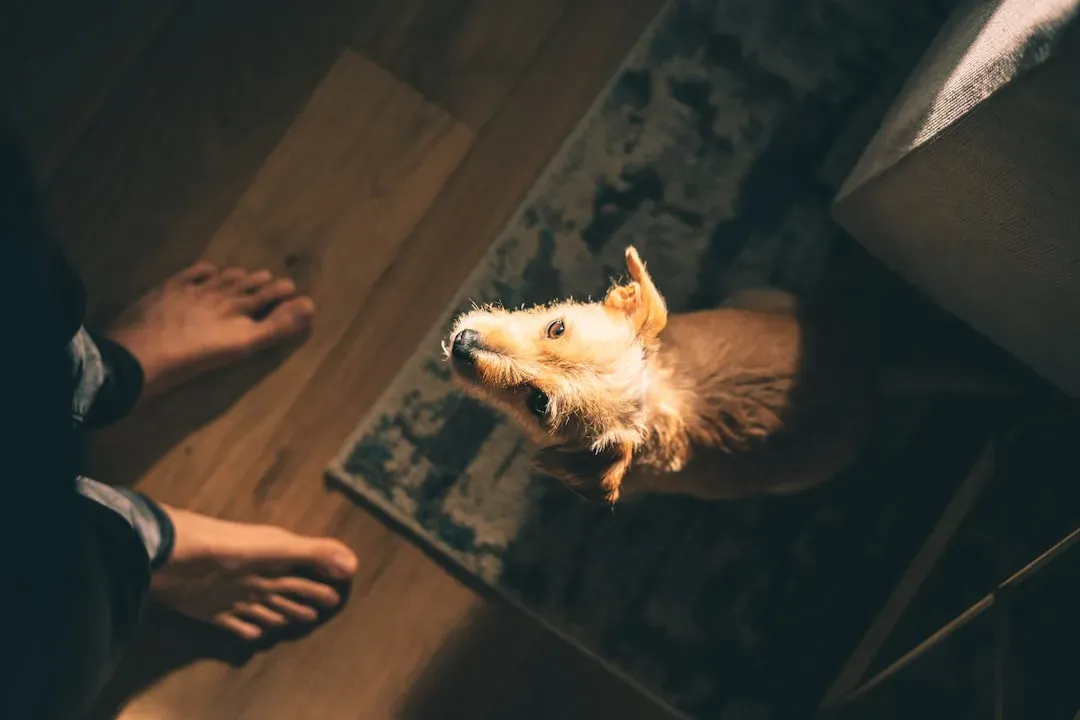 #8 - Asking to Go Out… Instead of Holding Everything In (Image Credits: Unsplash)
