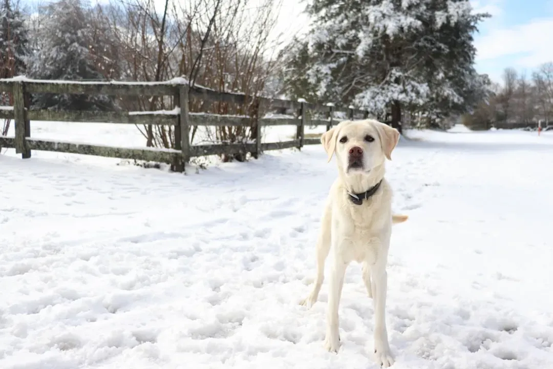 1. When You Reach for Your Keys (Image Credits: Unsplash)