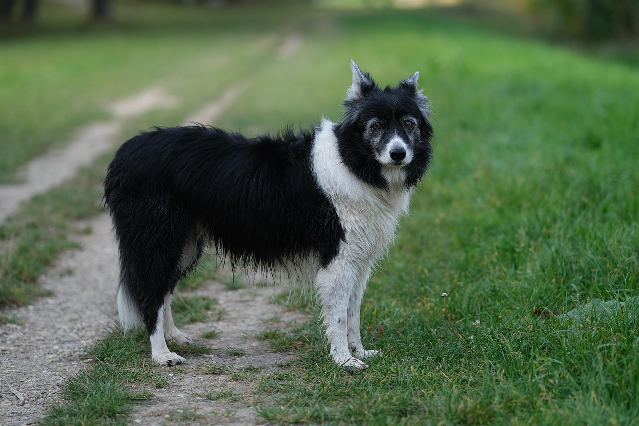 The Power of Being Present (Image Credits: Pixabay)