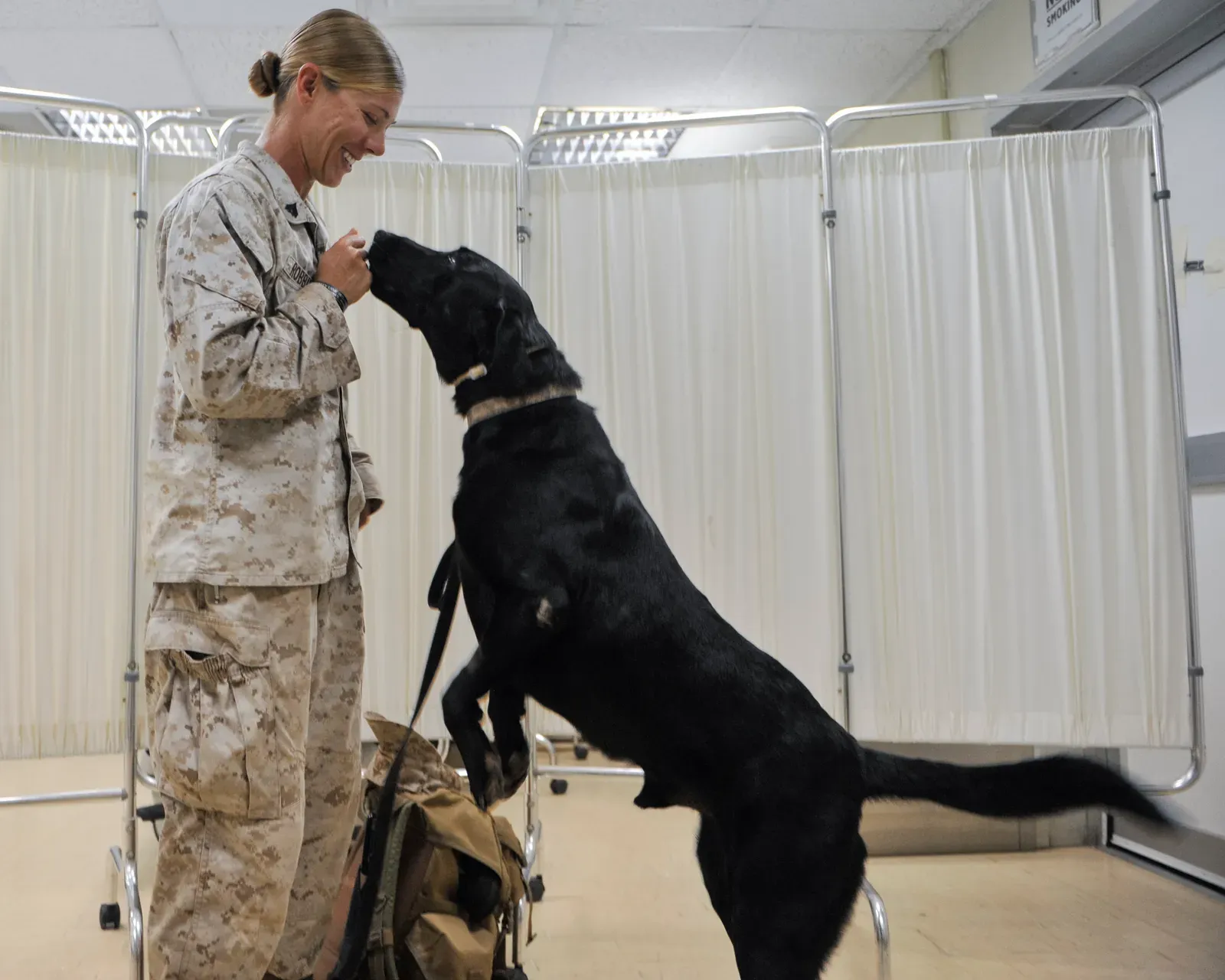 #1 - Pre-Existing Conditions (The Shock Everyone Finds Out Too Late) (By Petty Officer 1st Class Eric Dietrich, Public domain)