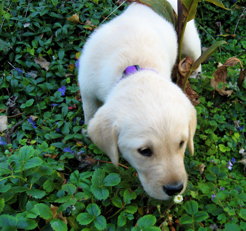 Conclusion (Image Credits: Flickr)