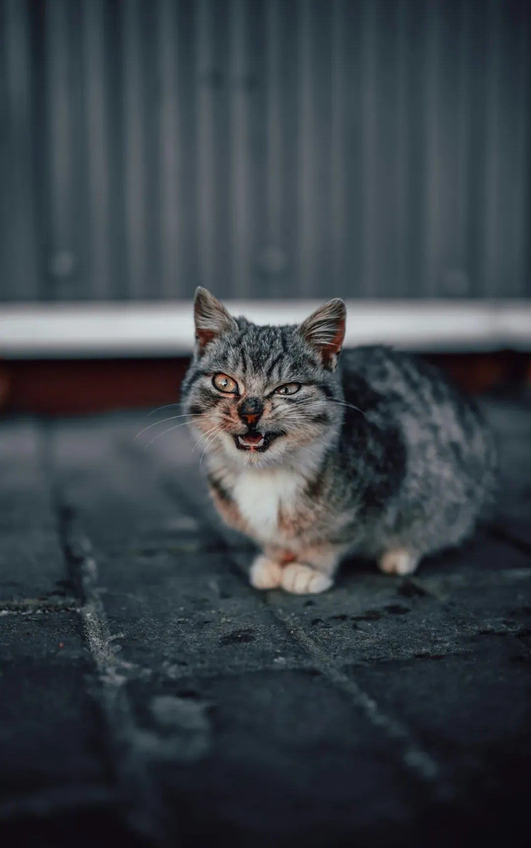 #4: Something in Their Face Has Changed (Image Credits: Unsplash)