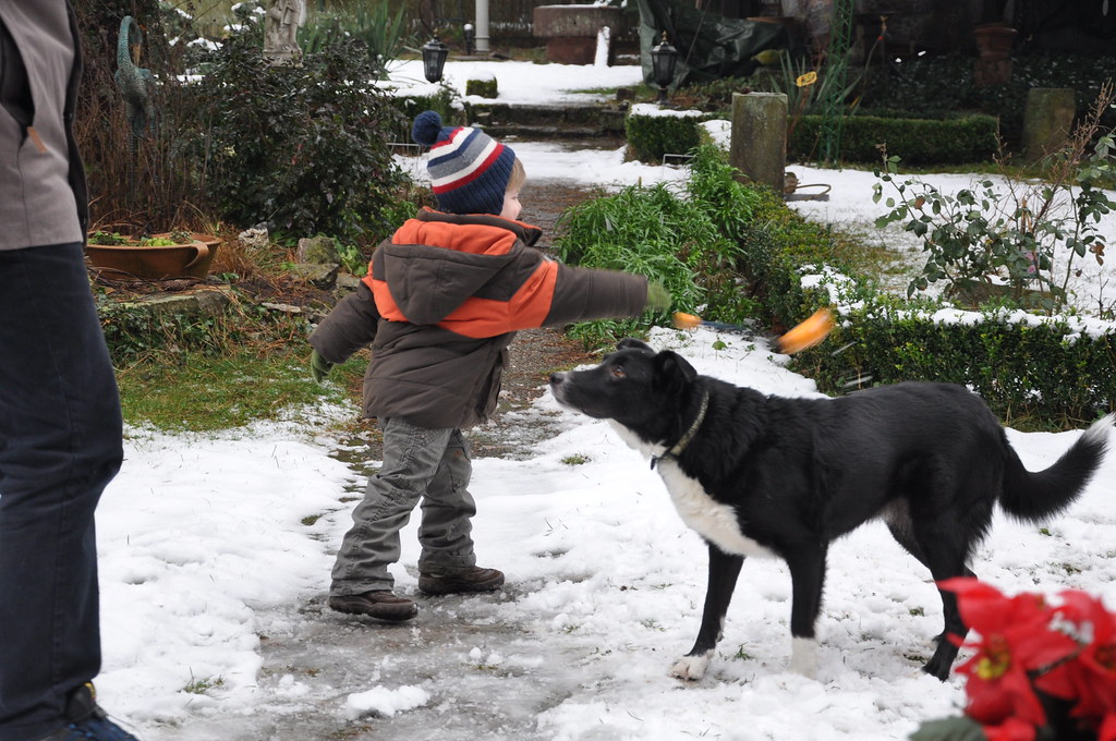 Mental Stimulation Is A Full-Time Job (Image Credits: Flickr)