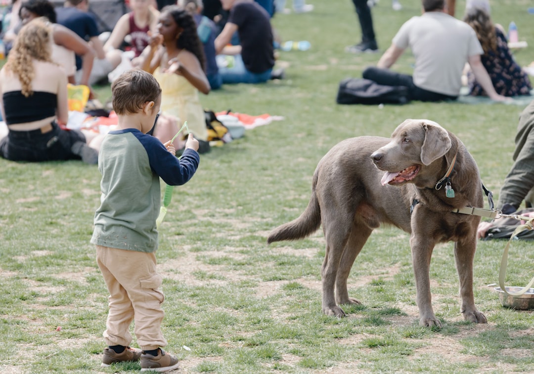 Teaching Essential Commands for Child Safety (Image Credits: Unsplash)