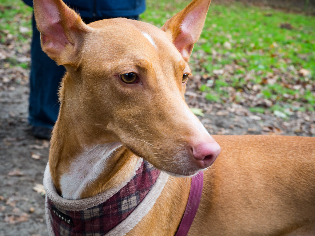 Your Cosmic Connection Creates Perfect Harmony (Image Credits: Flickr)