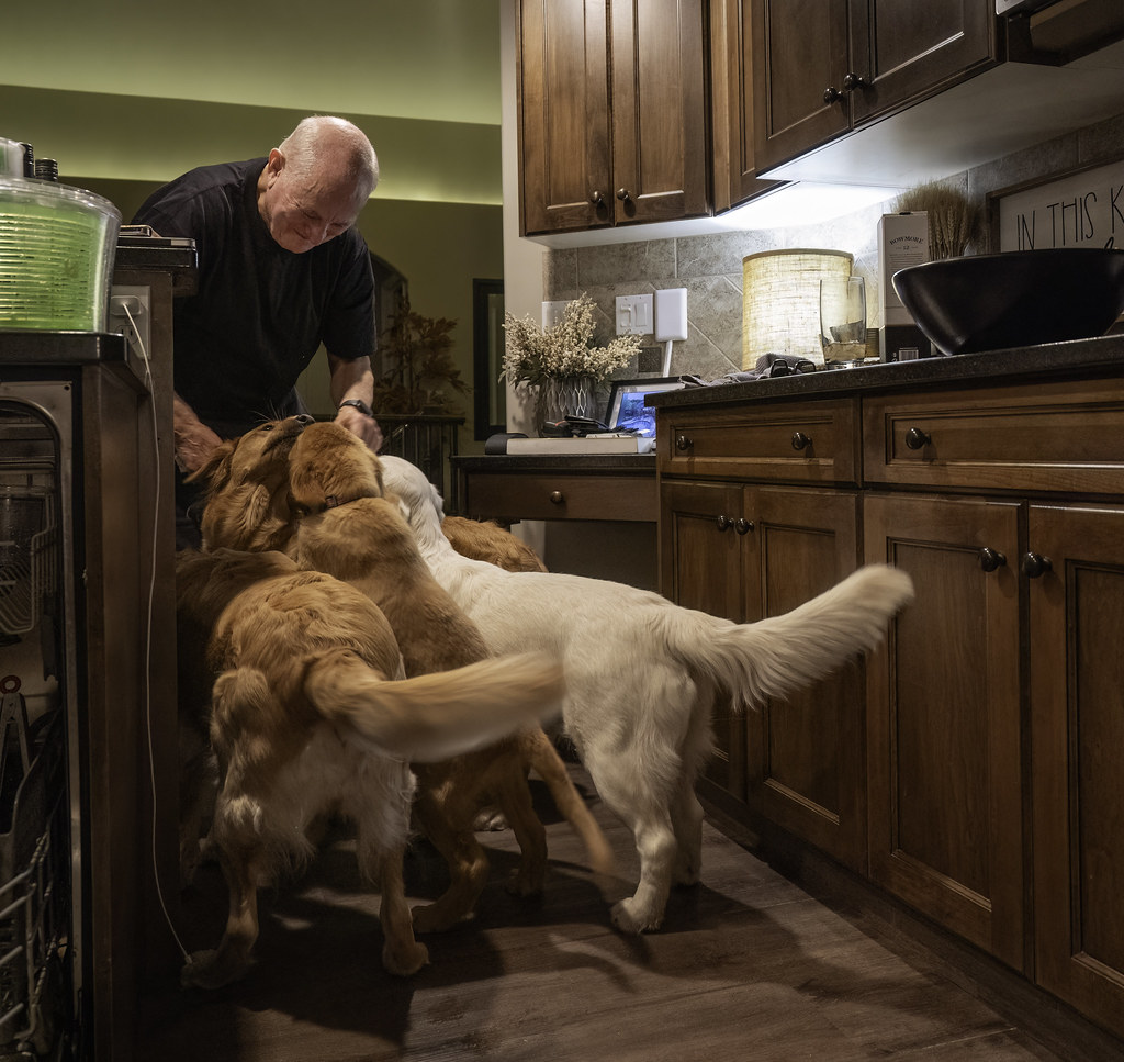 The Loyalty Factor: What Fire Signs Crave (Image Credits: Flickr)