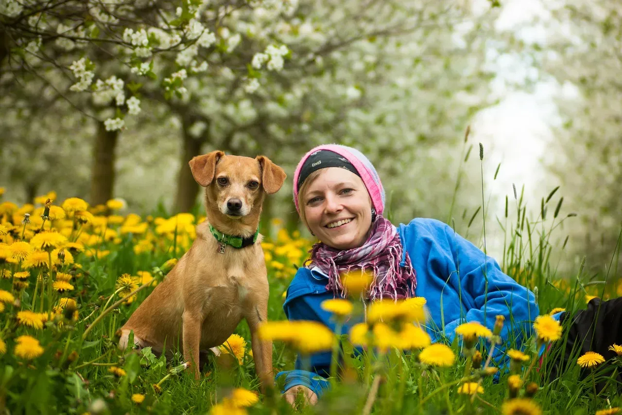 When Astrology Meets Veterinary Reality: How to Use Both Without Fooling Yourself (Image Credits: Pixabay)