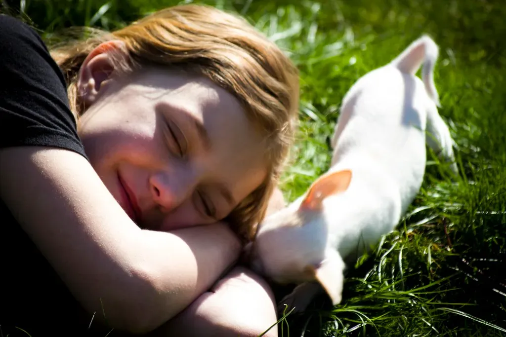 Gemini: The Social Butterfly (Image Credits: Flickr)