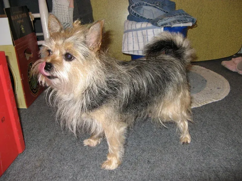 Laundry Room Lurkers (Image Credits: Flickr)