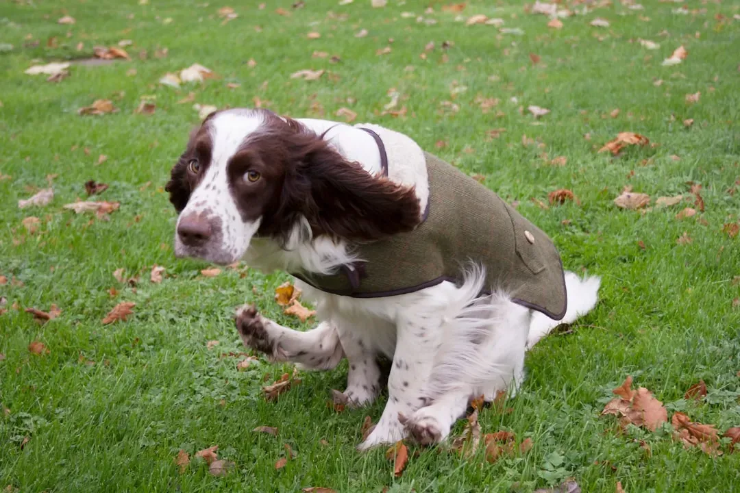 Fabric Choices and Fit Matter Enormously (Image Credits: Unsplash)